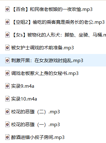 南晚姐姐ASMR剧情音声11A：沉浸式助眠剧情音声【中文音声,11A,3.2GB】