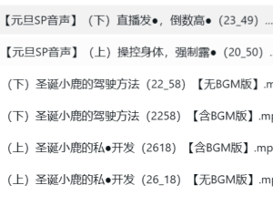 CV露珀塔Rupeta元旦ASMR音声6A：耳畔私语唤醒新年感官 [6A]